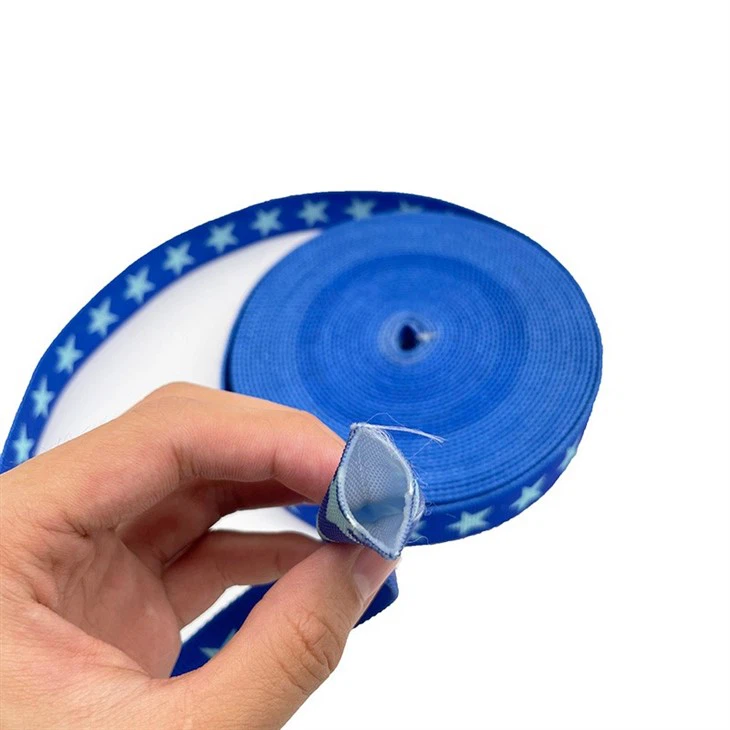 Printed Polyester Webbing 25mm