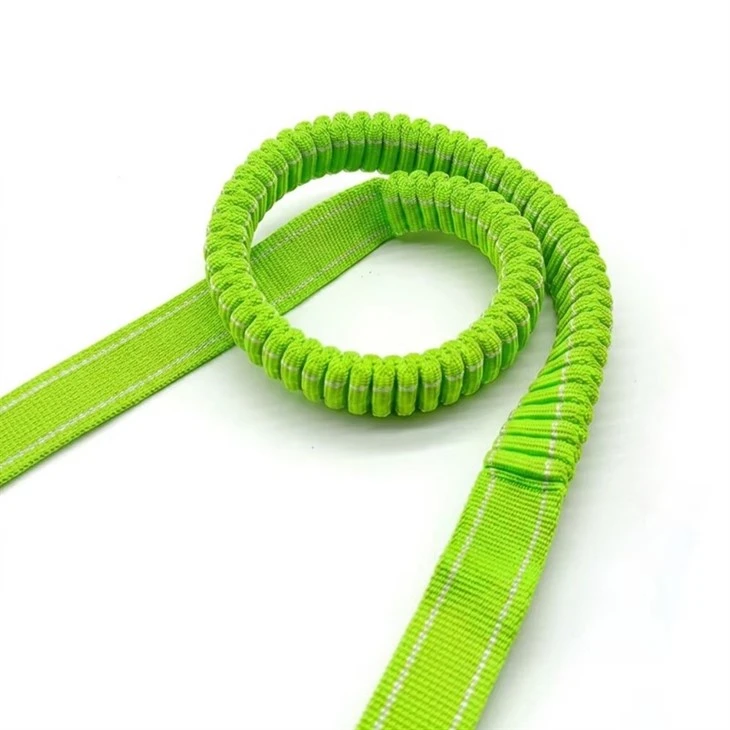 bungee band